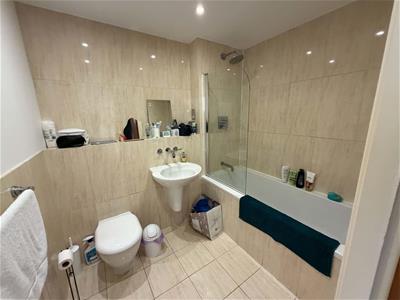 Picture 8